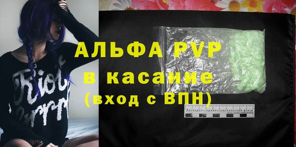 прущие крисы Верея